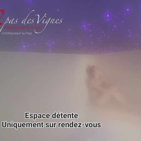 A 2 Pas Des Vignes, Hebergements Et Spa, Maison Numero 6, A Chateauneuf Du Pape Exterior photo